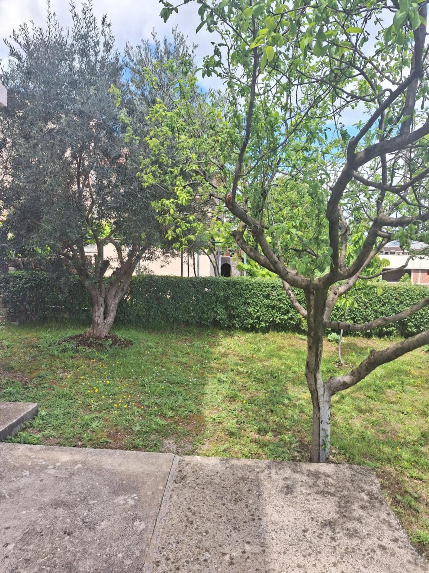 פודגוריצה Apartmani Ruza מראה חיצוני תמונה